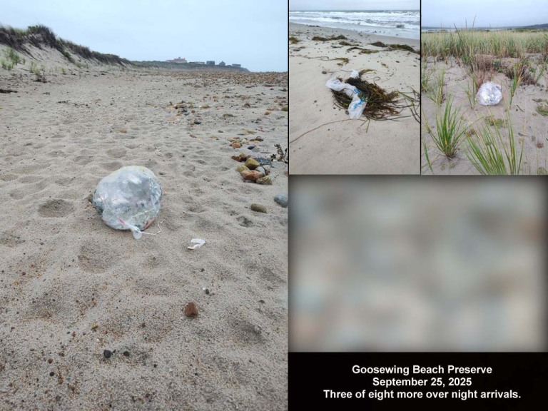 balloons-2025-BN-Goosewing-Beach