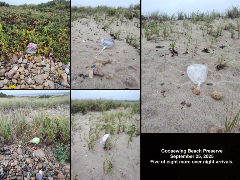balloons-2025-BO-Goosewing-Beach