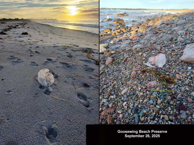 balloons-2025-BP-Goosewing-Beach