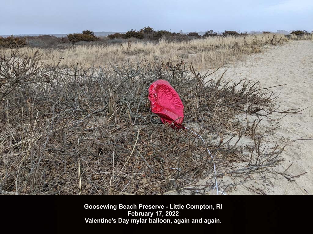 balloons-2022-AC-Goosewing-Beach