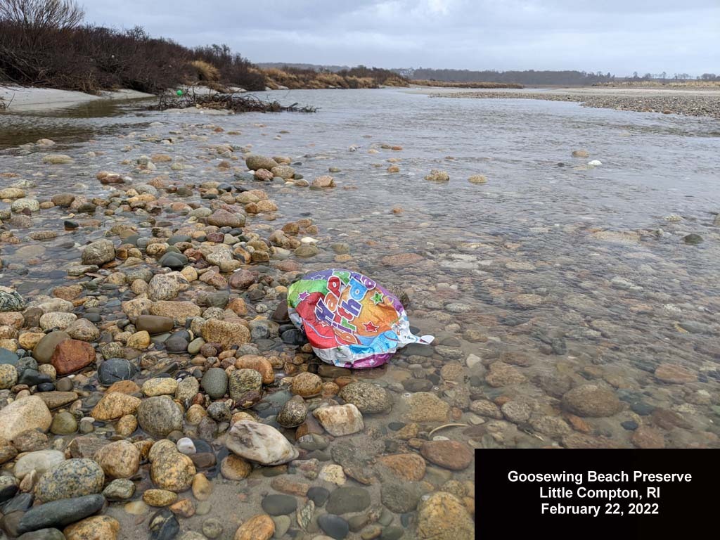 balloons-2022-AD-Goosewing-Beach
