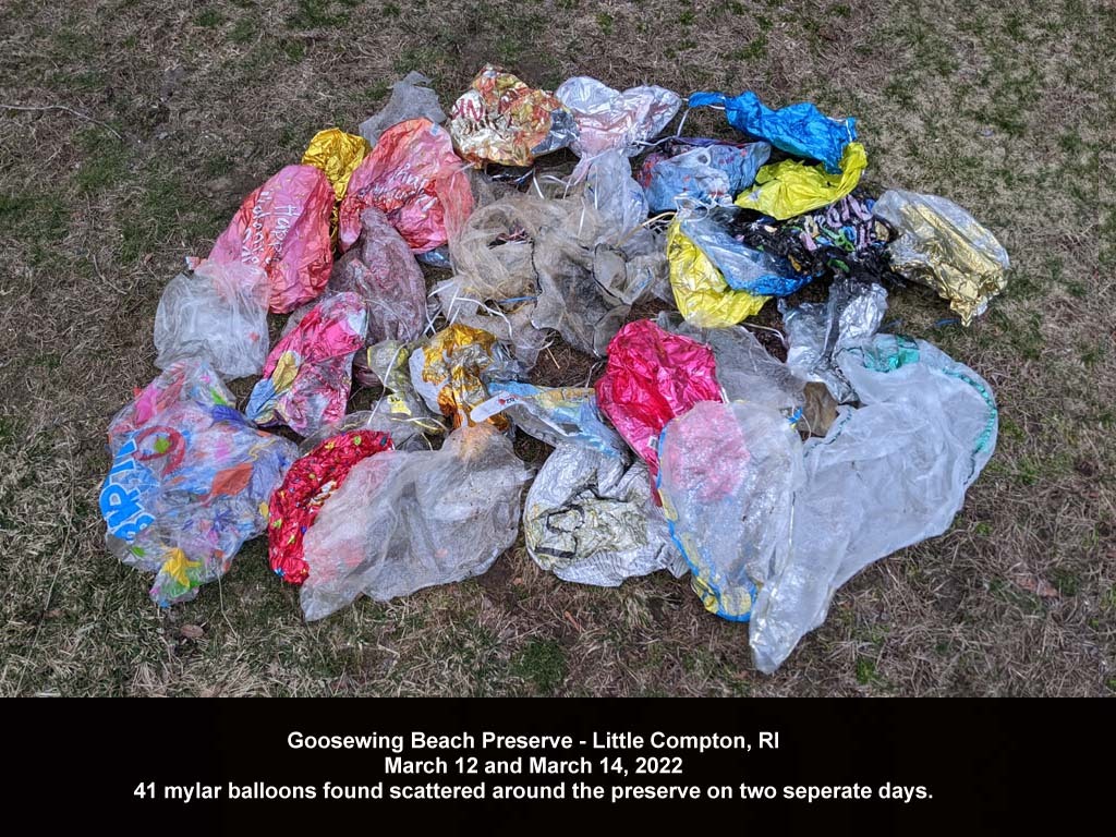balloons-2022-AF-Goosewing-Beach