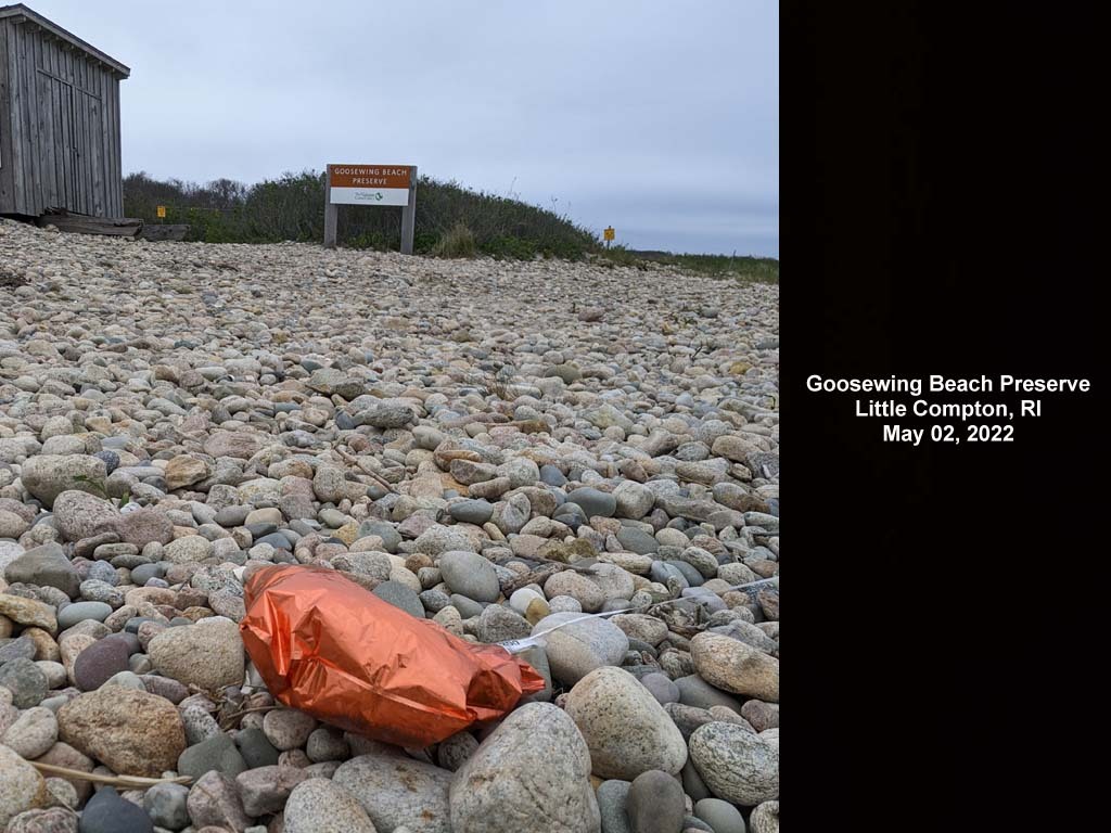 balloons-2022-AG-Goosewing-Beach