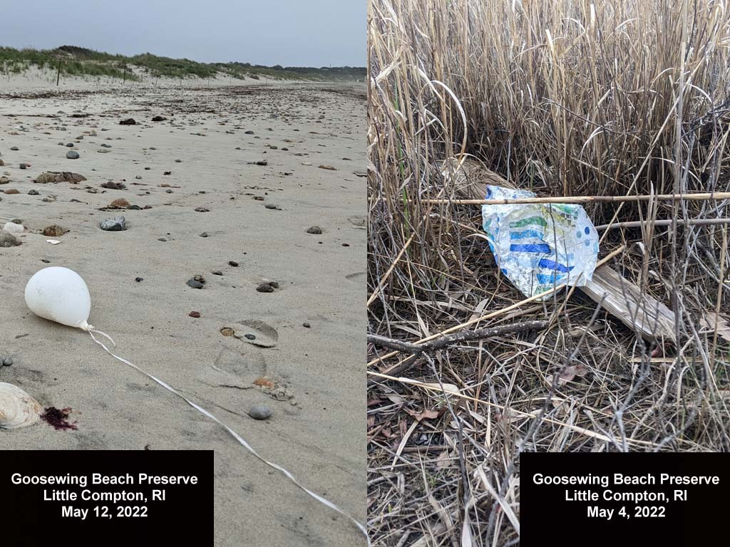 balloons-2022-AH-Goosewing-Beach