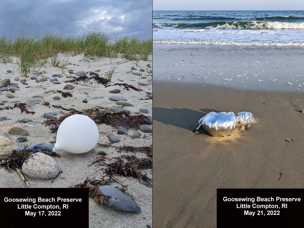 balloons-2022-AI-Goosewing-Beach