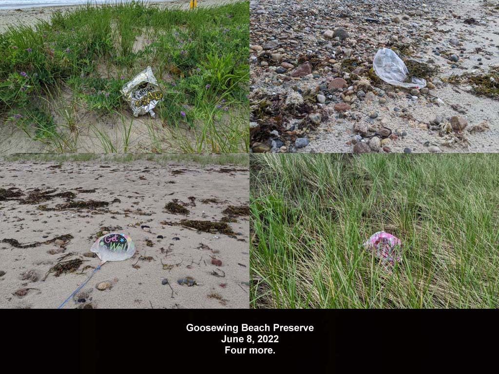 balloons-2022-AJ-Goosewing-Beach