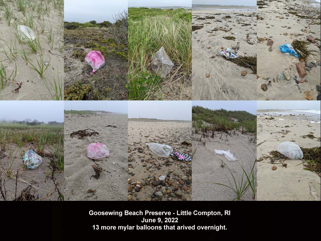 balloons-2022-AK-Goosewing-Beach