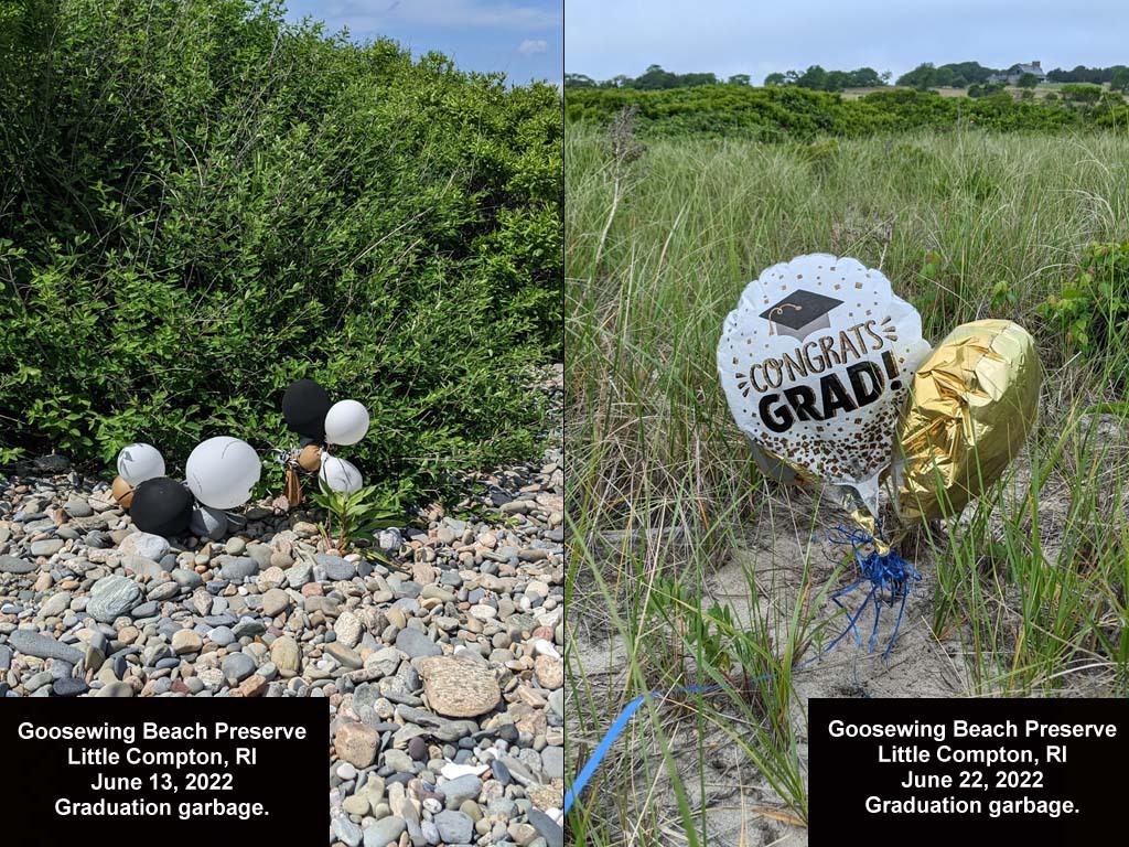 balloons-2022-AL-Goosewing-Beach
