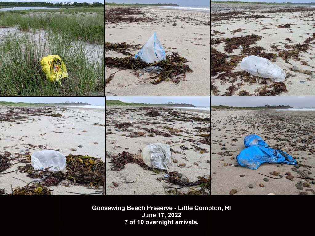 balloons-2022-AM-Goosewing-Beach