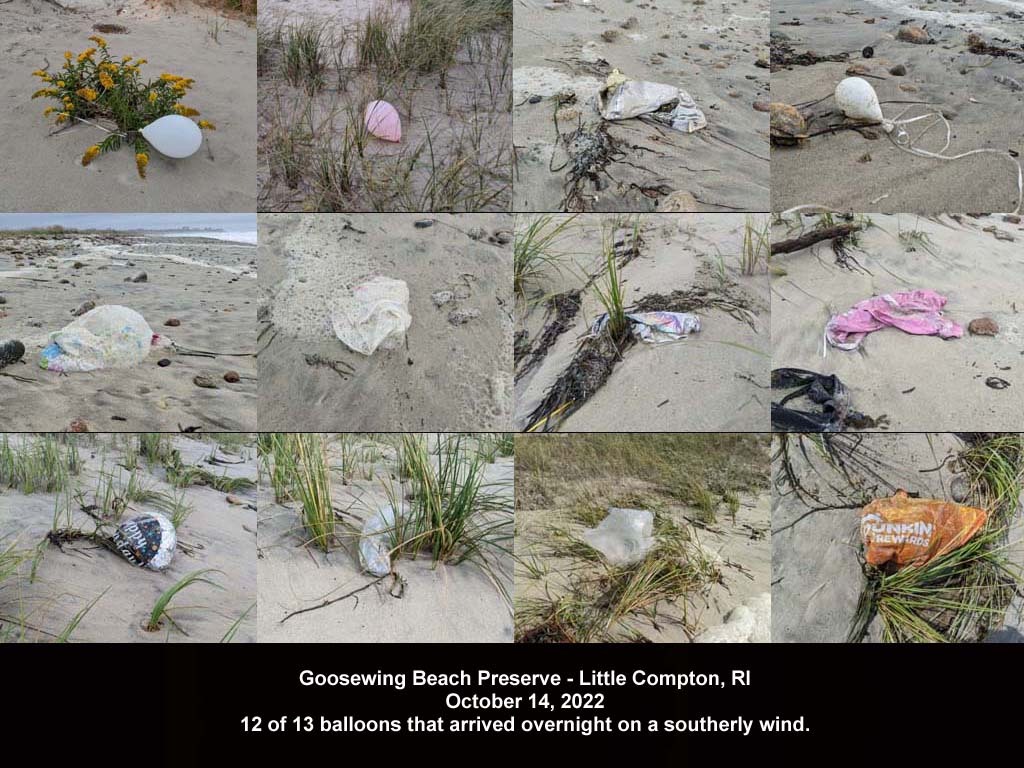 balloons-2022-AN-Goosewing-Beach