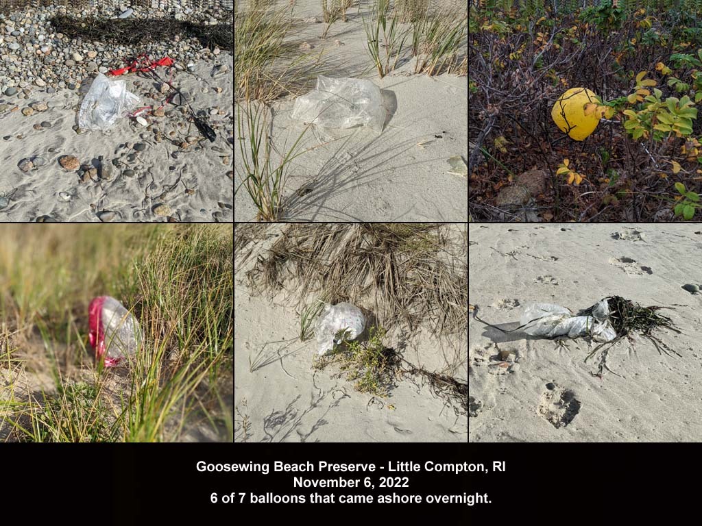 balloons-2022-AO-Goosewing-Beach