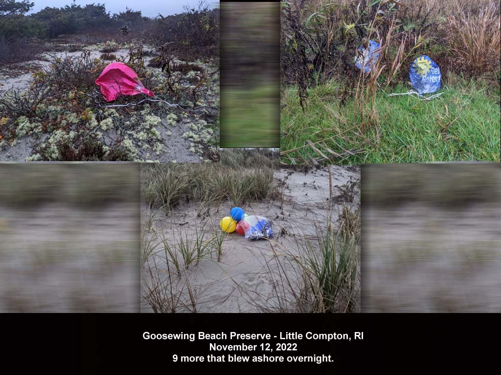 balloons-2022-AP-Goosewing-Beach