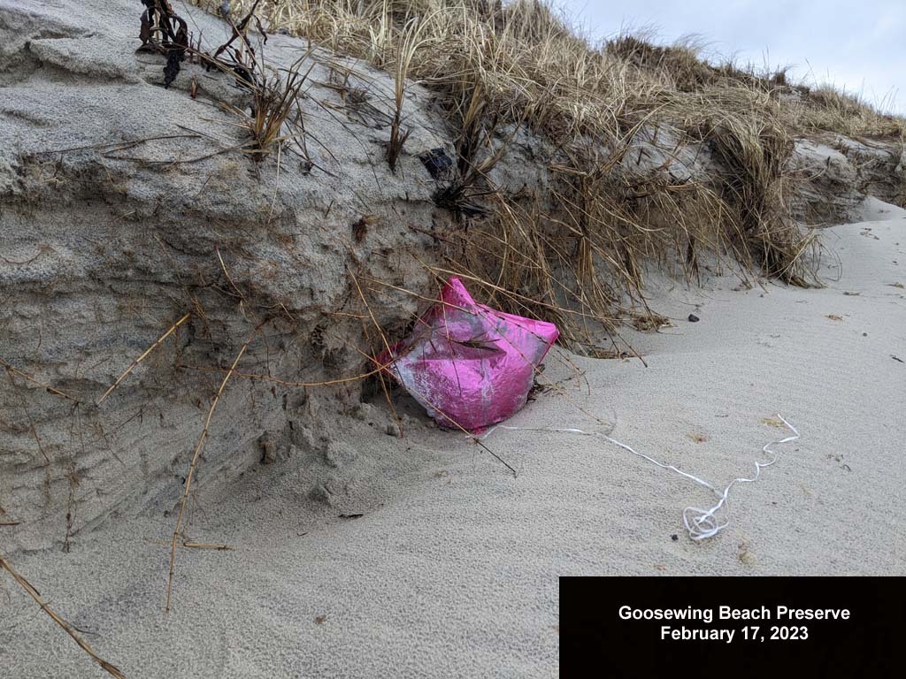 balloons-2023-AB-Goosewing-Beach