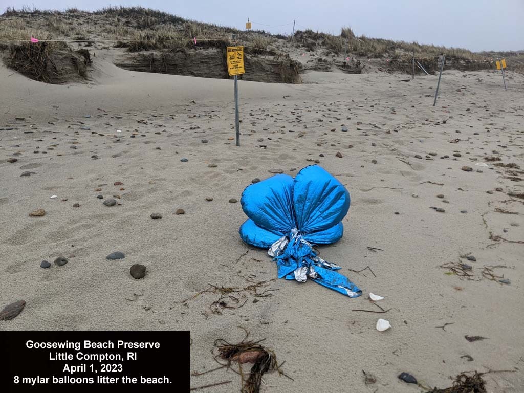 balloons-2023-AD-Goosewing-Beach