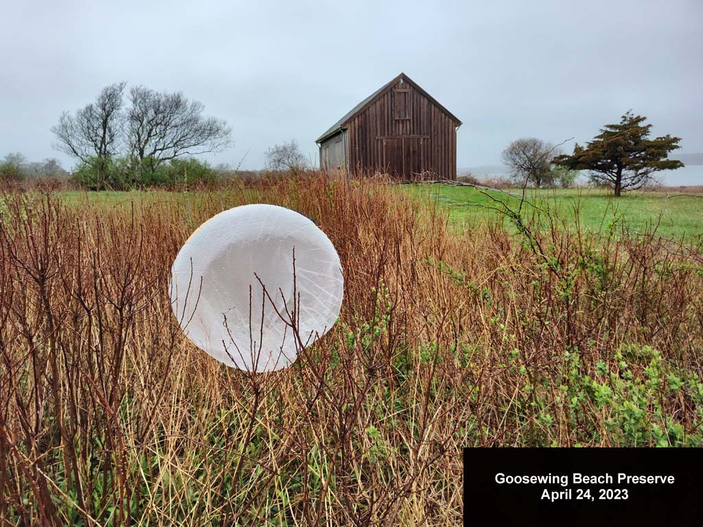balloons-2023-AE-Goosewing-Beach