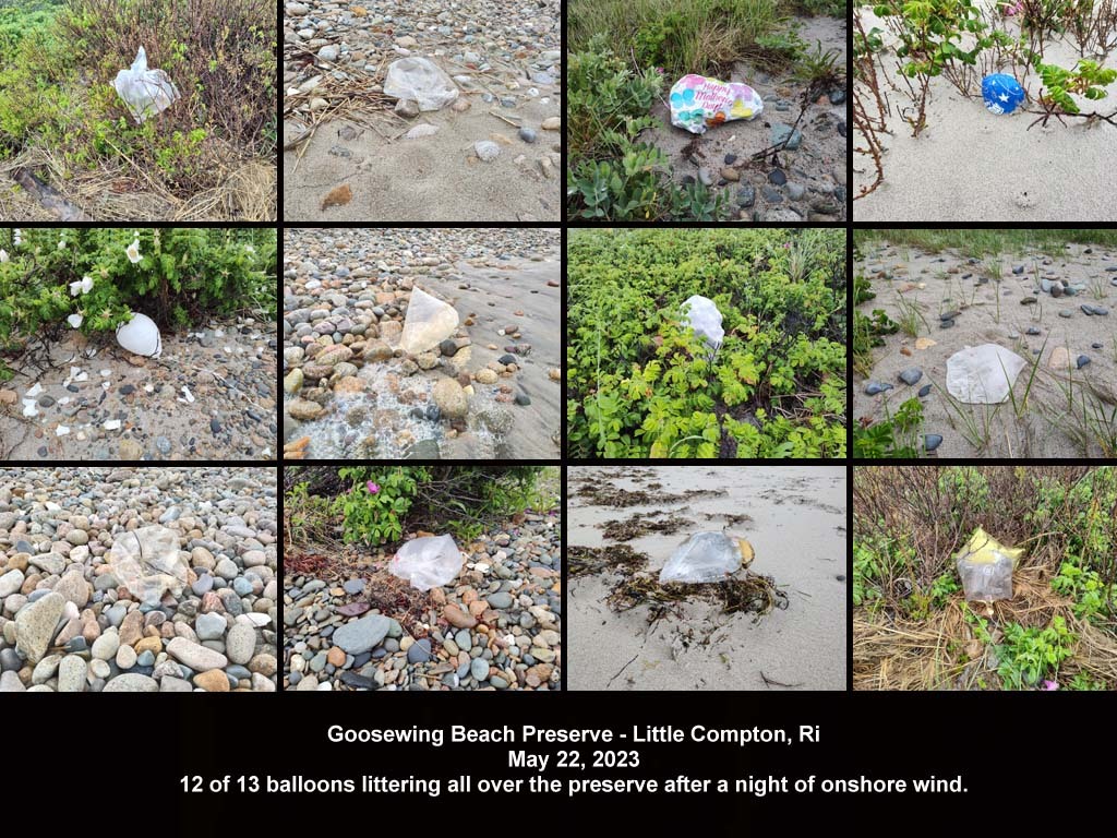 balloons-2023-AH-Goosewing-Beach