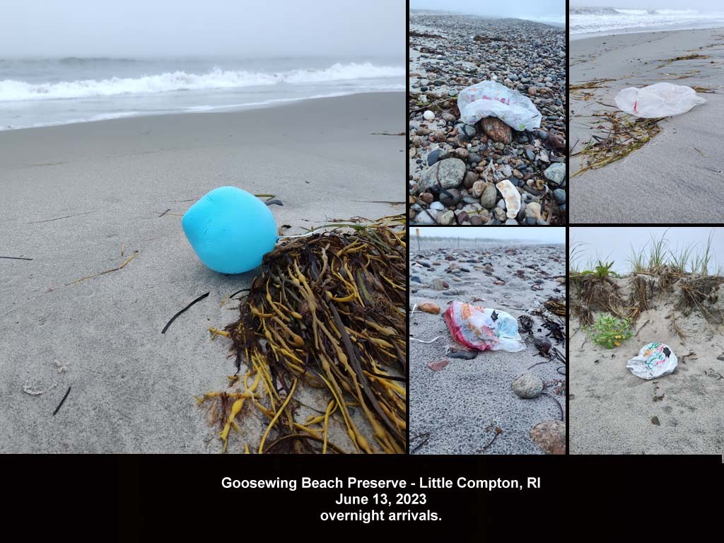 balloons-2023-AI-Goosewing-Beach