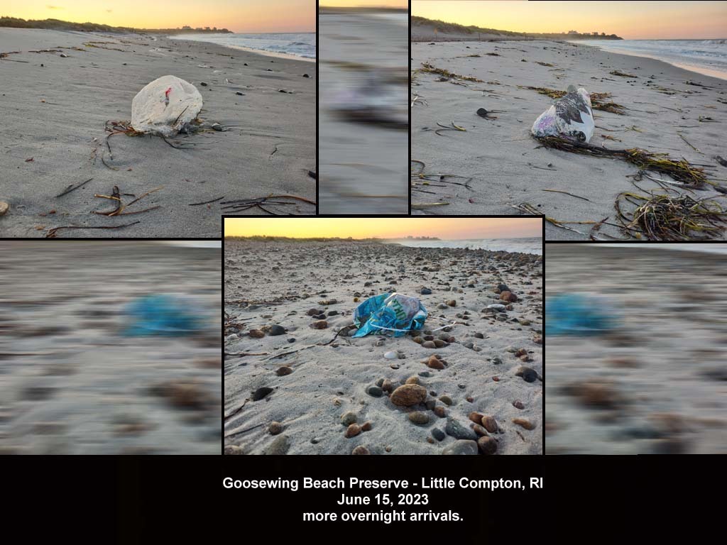 balloons-2023-AJ-Goosewing-Beach