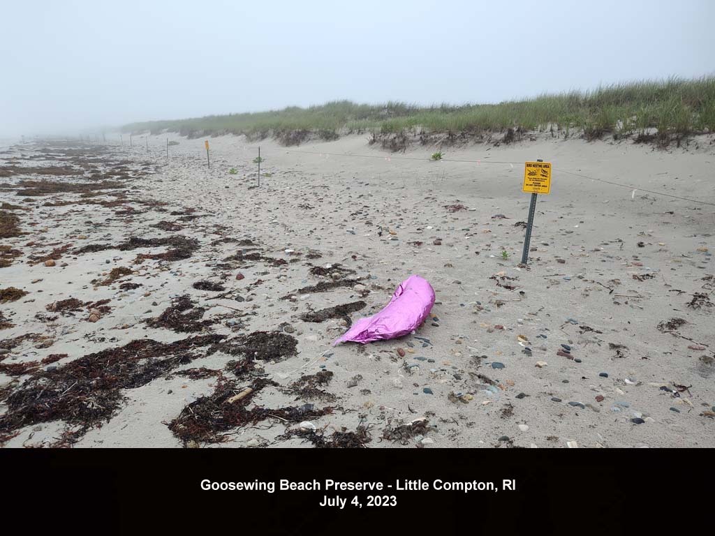 balloons-2023-AK-Goosewing-Beach