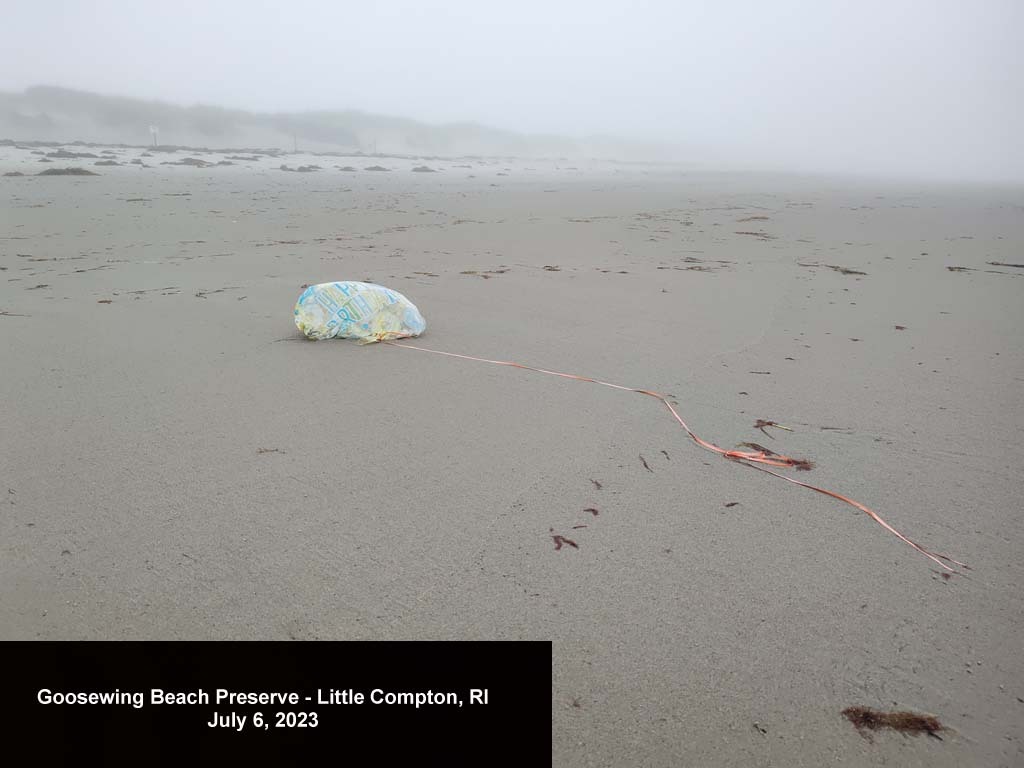balloons-2023-AL-Goosewing-Beach