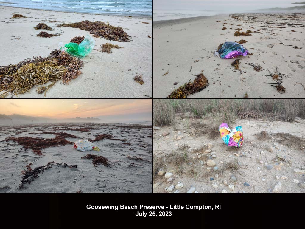 balloons-2023-AO-Goosewing-Beach