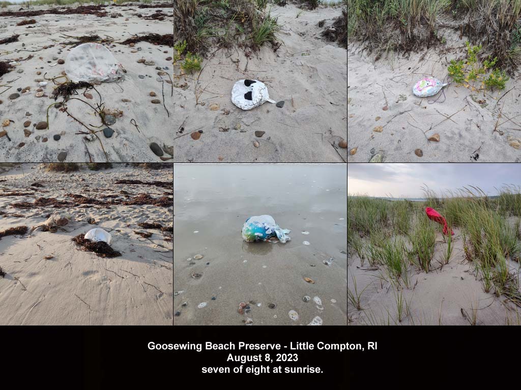 balloons-2023-AP-Goosewing-Beach