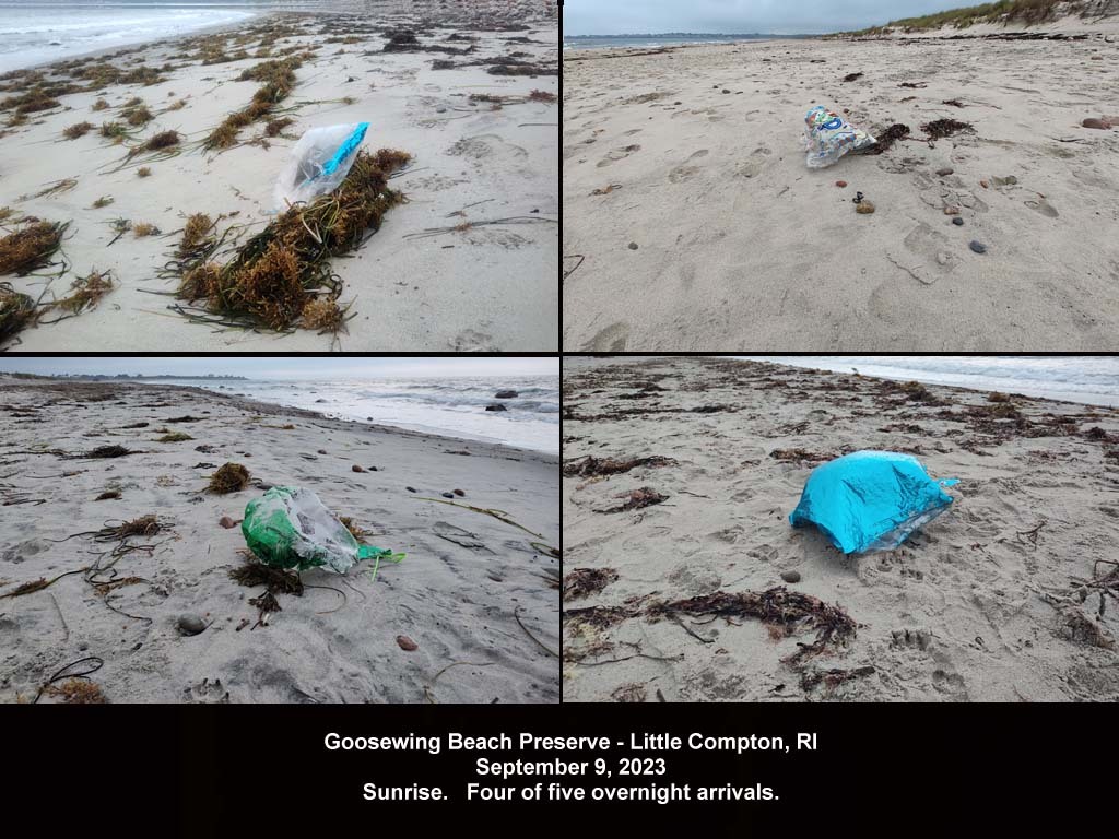 balloons-2023-AQ-Goosewing-Beach