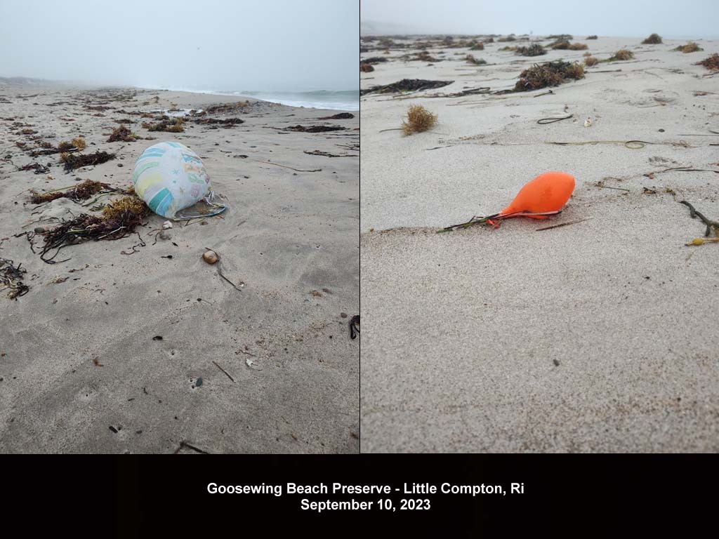 balloons-2023-AR-Goosewing-Beach