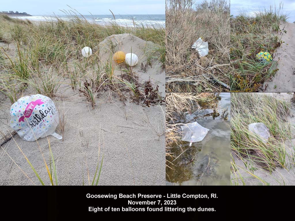 balloons-2023-AS-Goosewing-Beach