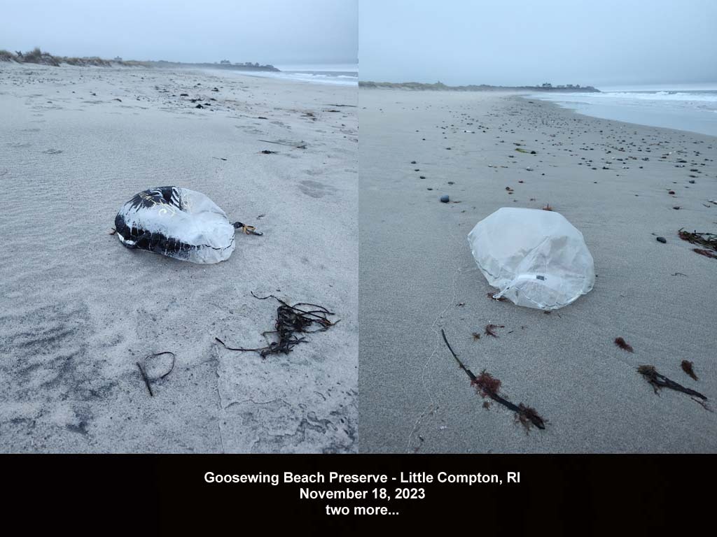 balloons-2023-AT-Goosewing-Beach