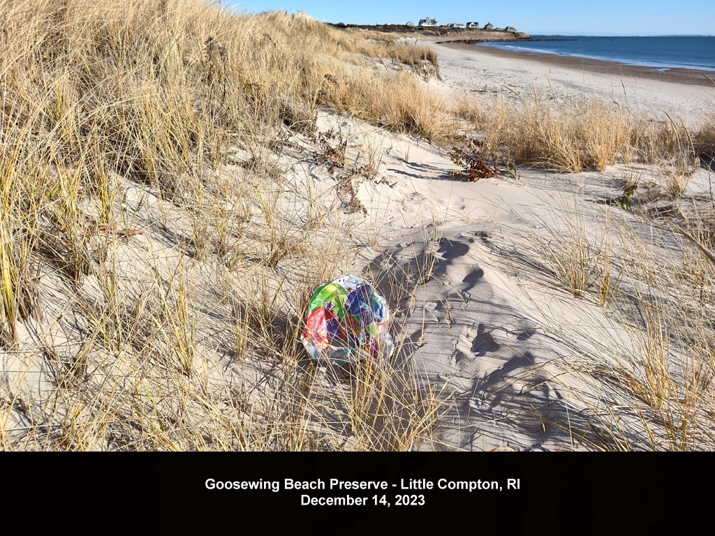 balloons-2023-AX-Goosewing-Beach