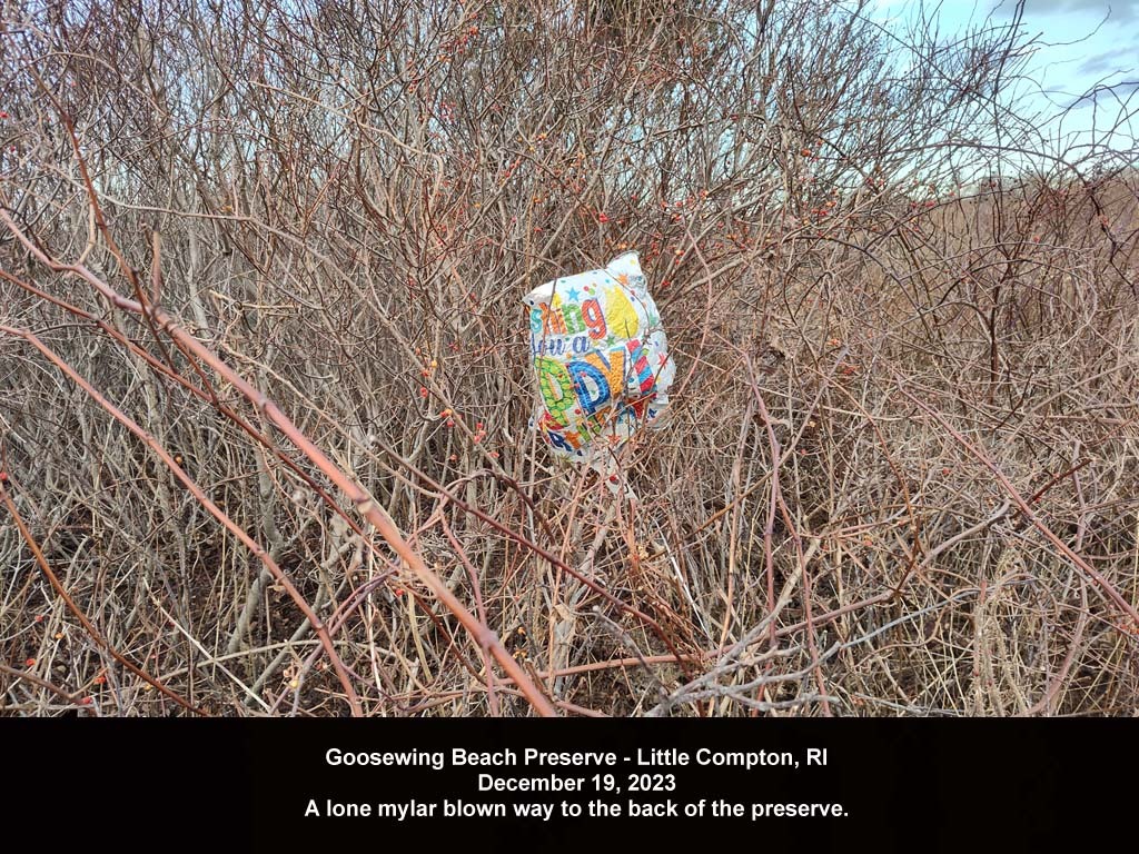 balloons-2023-AY-Goosewing-Beach