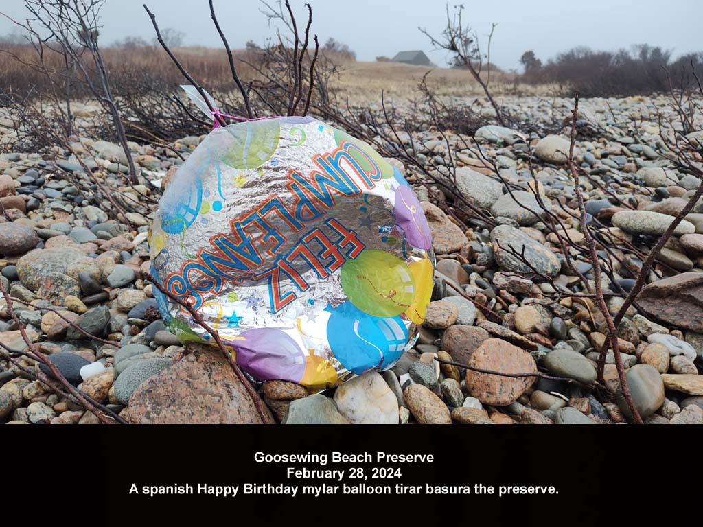 balloons-2024-AC-Goosewing-Beach