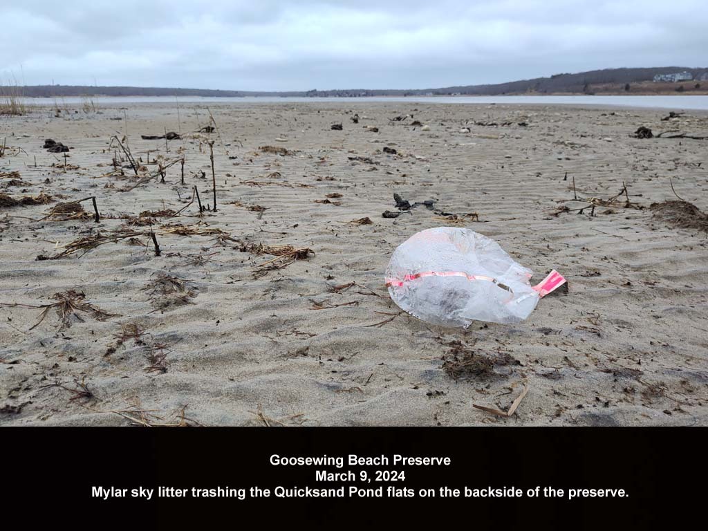 balloons-2024-AD-Goosewing-Beach
