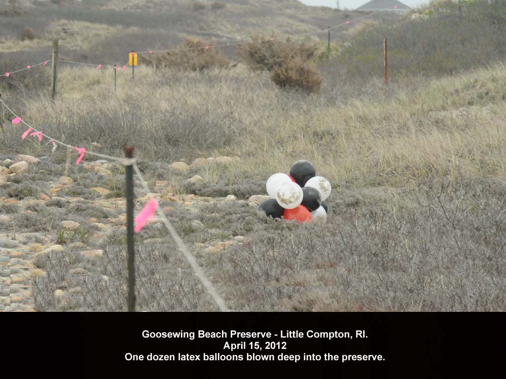 balloons-2012-AA-Goosewing-Beach