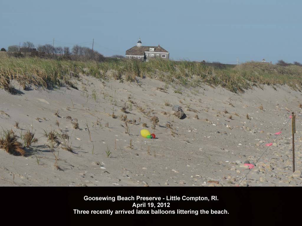 balloons-2012-AC-Goosewing-Beach