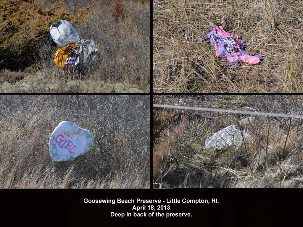 balloons-2013-AA-Goosewing-Beach