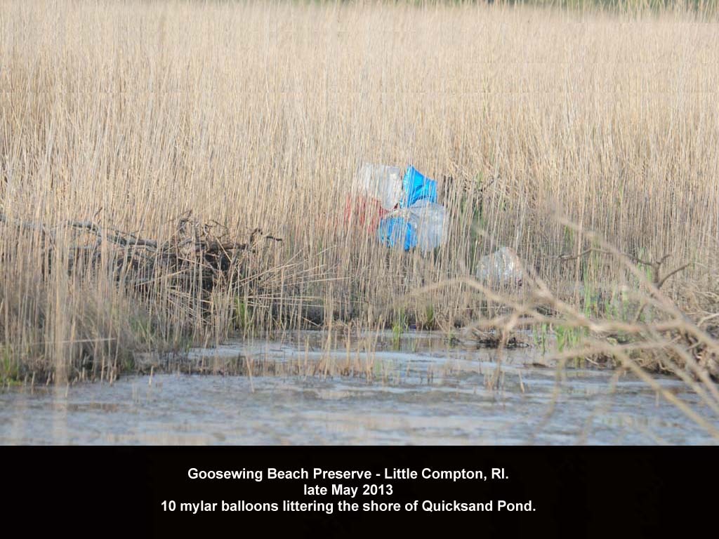 balloons-2013-AC-Goosewing-Beach