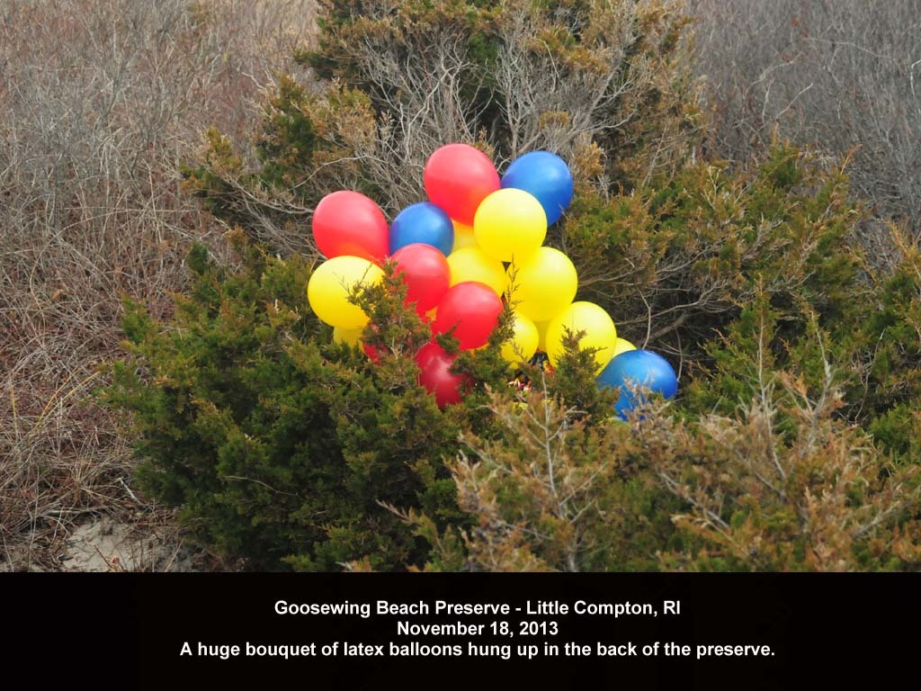 balloons-2013-AD-Goosewing-Beach