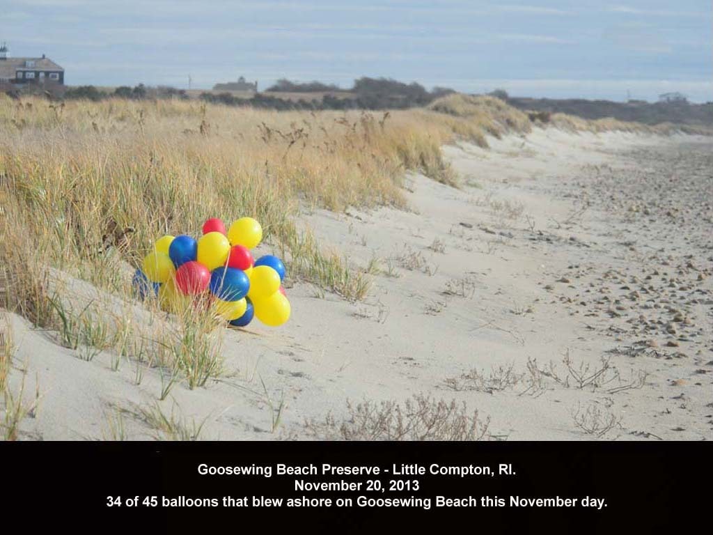 balloons-2013-AE-Goosewing-Beach