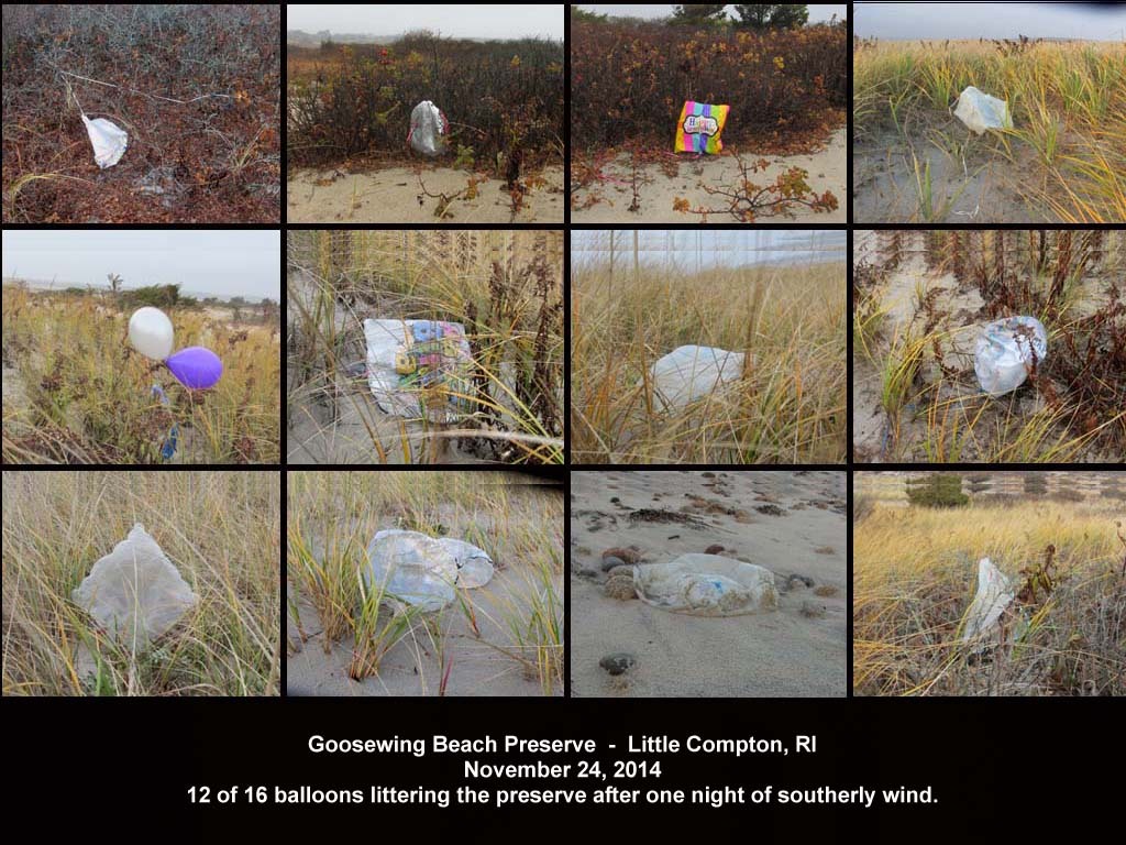 balloons-2014-AC-Goosewing-Beach