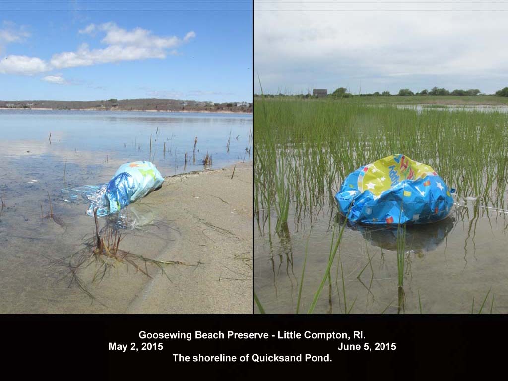 balloons-2015-AC-Goosewing-Beach