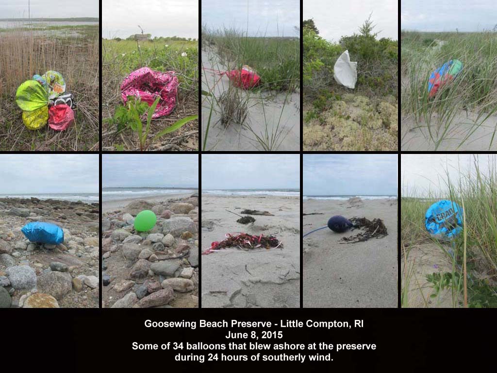 balloons-2015-AE-Goosewing-Beach