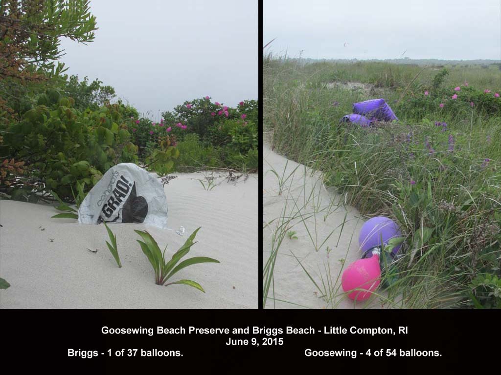 balloons-2015-AF-Goosewing-Beach