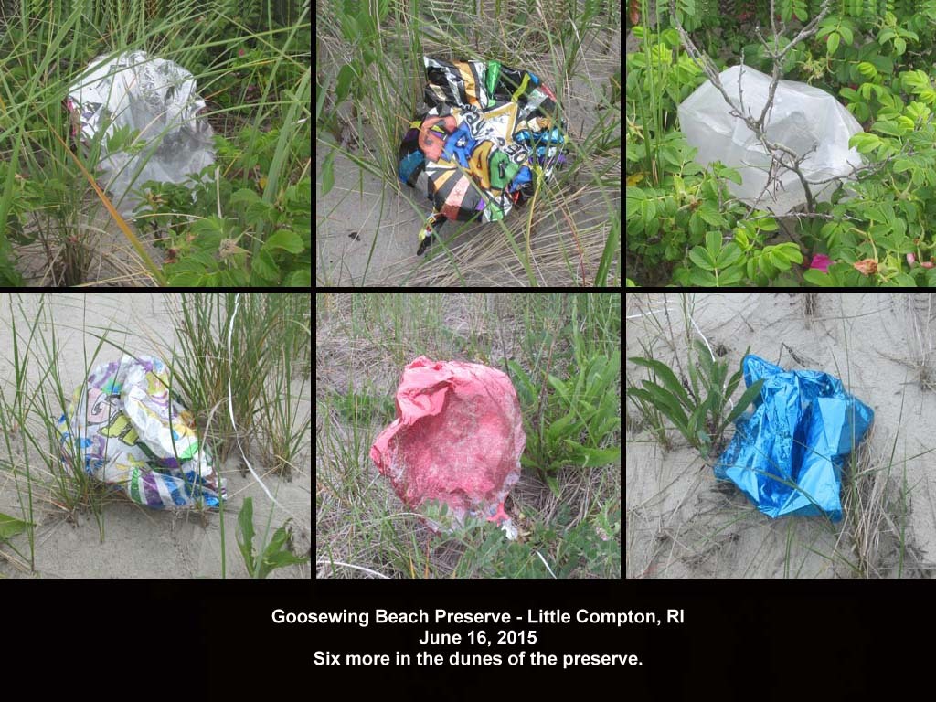 balloons-2015-AG-Goosewing-Beach