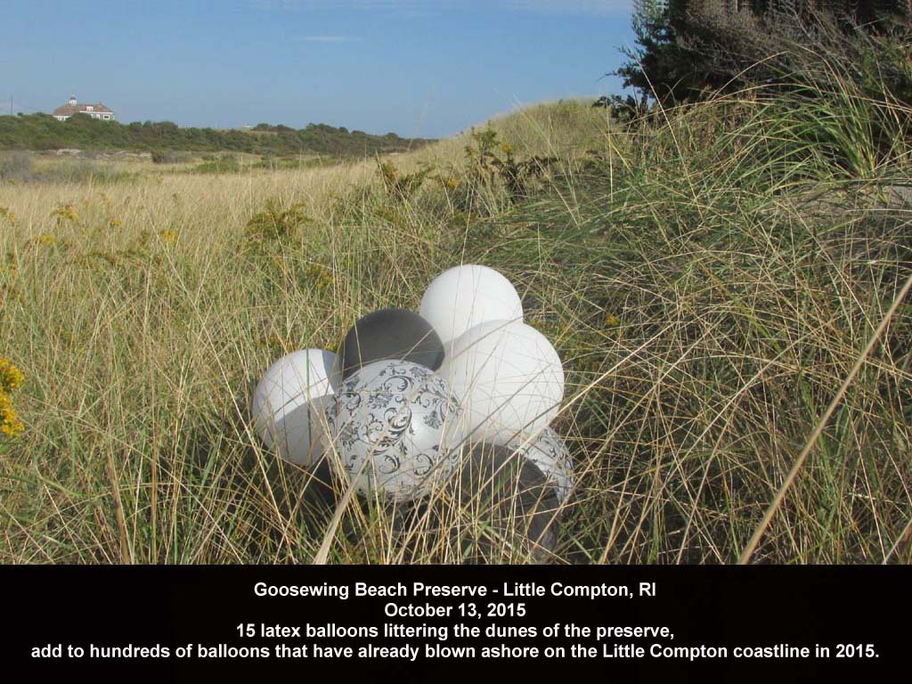 balloons-2015-AI-Goosewing-Beach