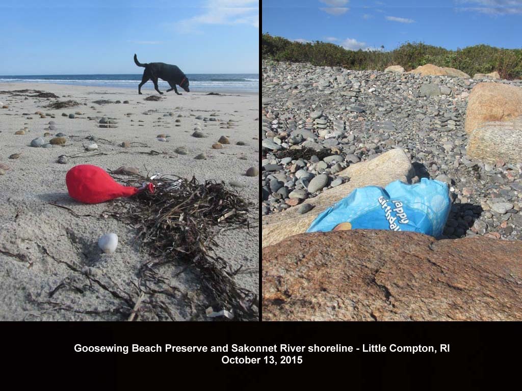 balloons-2015-AJ-Goosewing-Beach