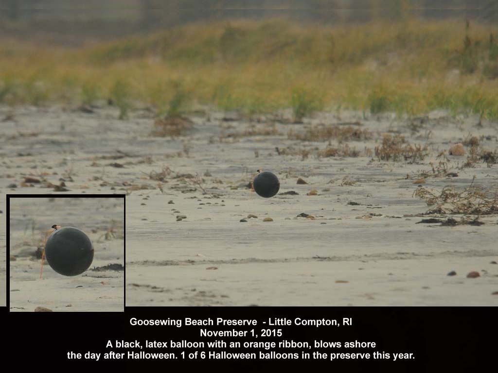balloons-2015-AK-Goosewing-Beach