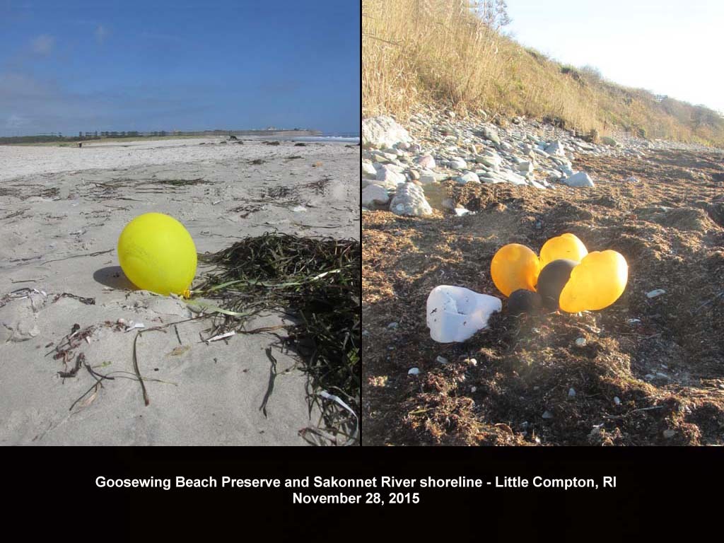 balloons-2015-AL-Goosewing-Beach