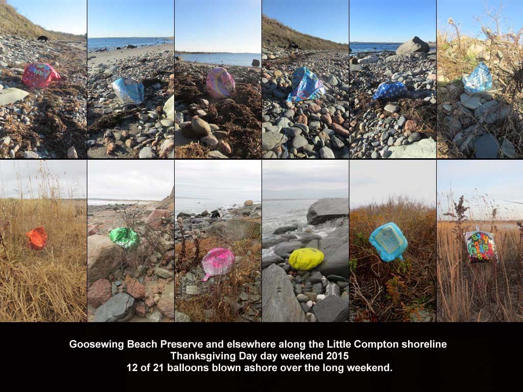 balloons-2015-AM-Goosewing-Beach